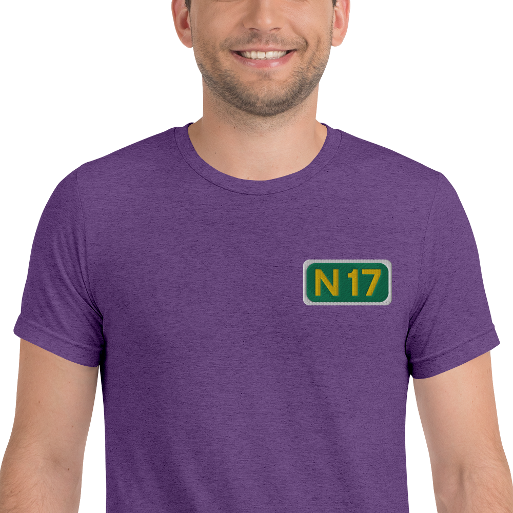 N17