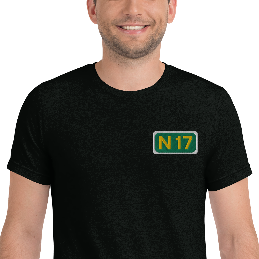 N17