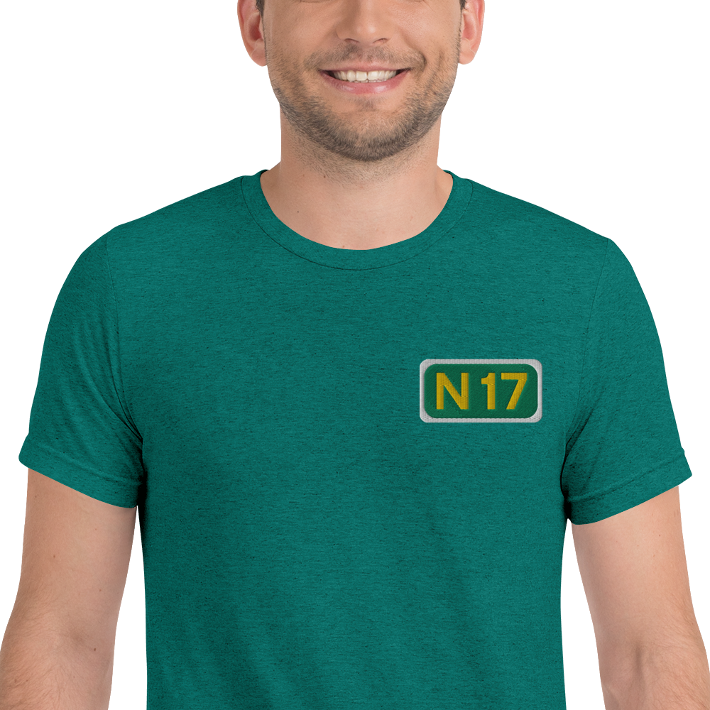 N17